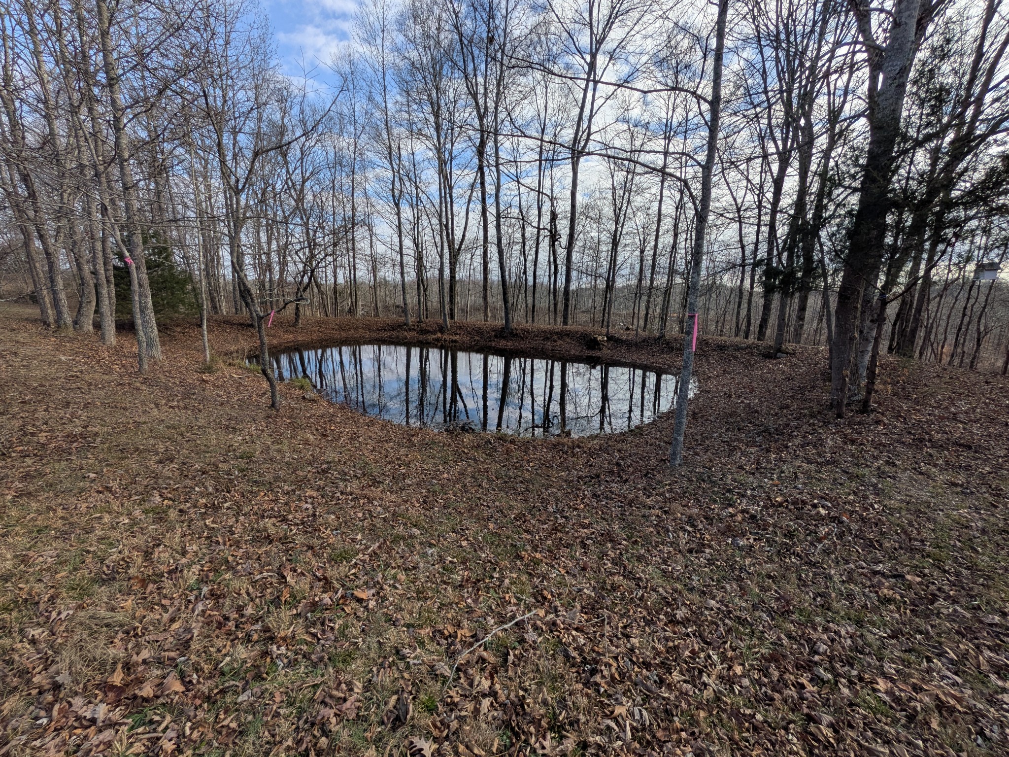 319 North Chisholm Creek Road Lawrenceburg, TN 38464 - Photo 21 of 64