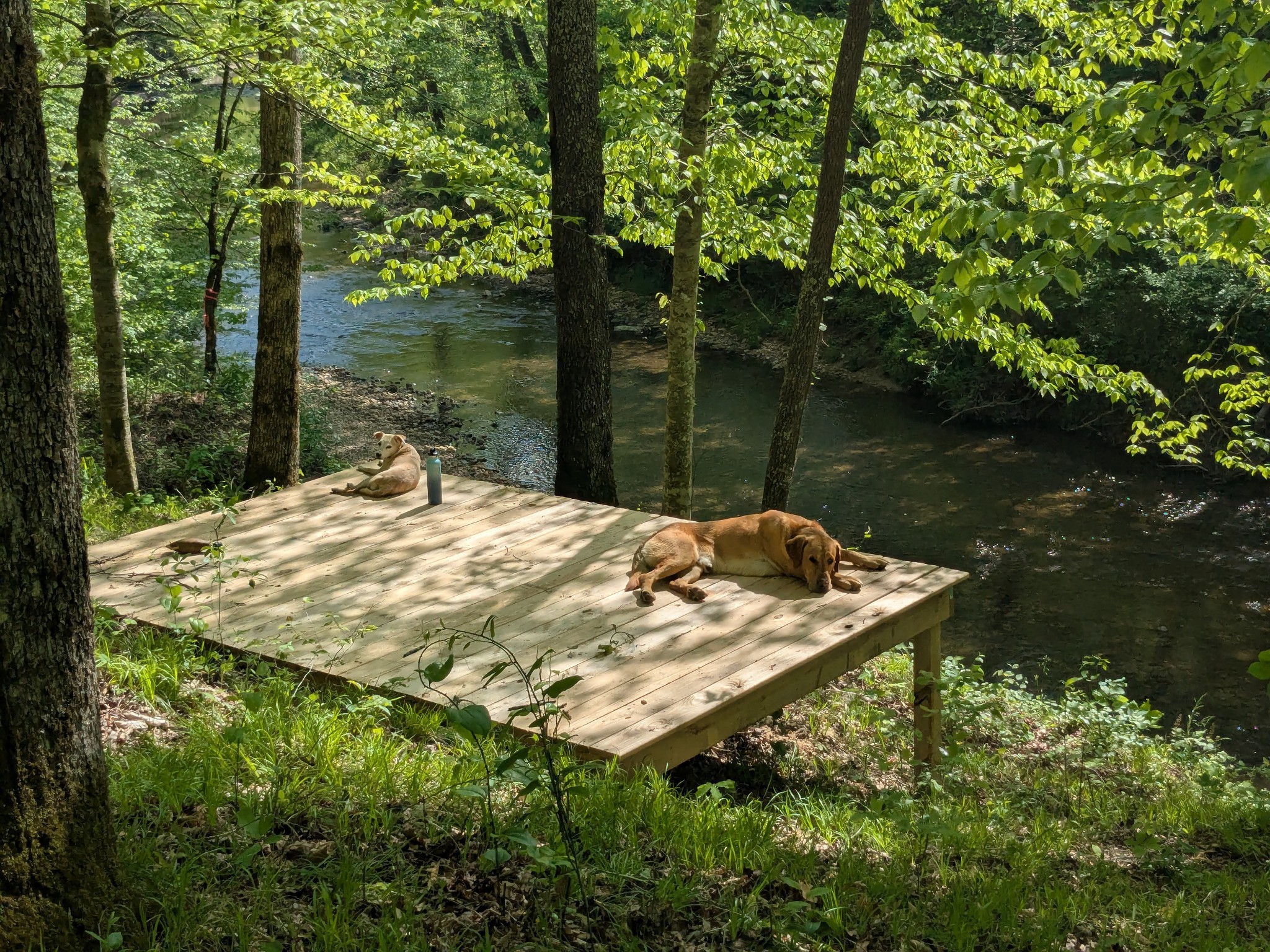 319 North Chisholm Creek Road Lawrenceburg, TN 38464 - Photo 28 of 64 a view of a backyard with a lake view