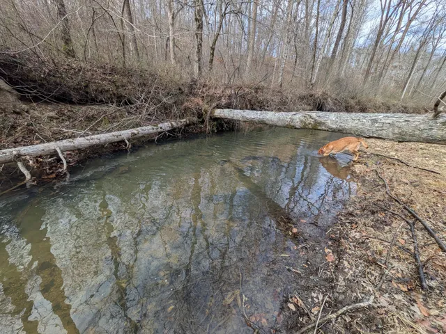 $225,000 | 319 North Chisholm Creek Road, Lawrenceburg, TN 38464