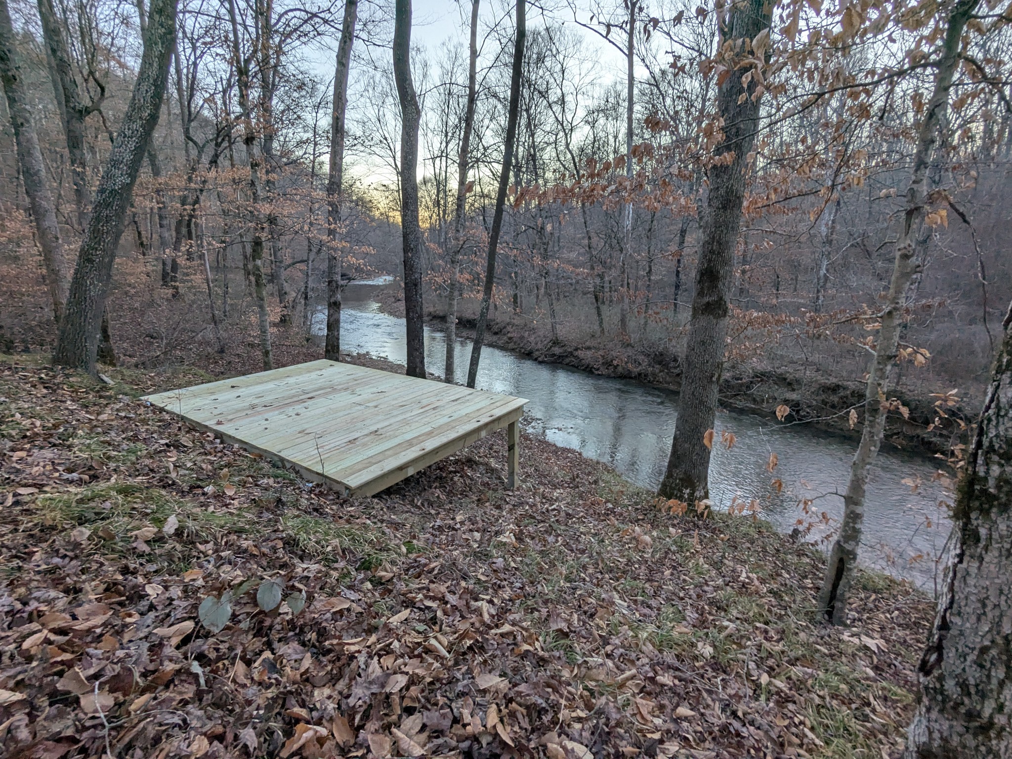 319 North Chisholm Creek Road Lawrenceburg, TN 38464 - Photo 30 of 64 a view of a backyard