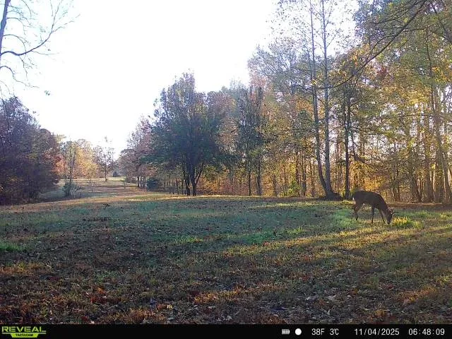 $225,000 | 319 North Chisholm Creek Road, Lawrenceburg, TN 38464