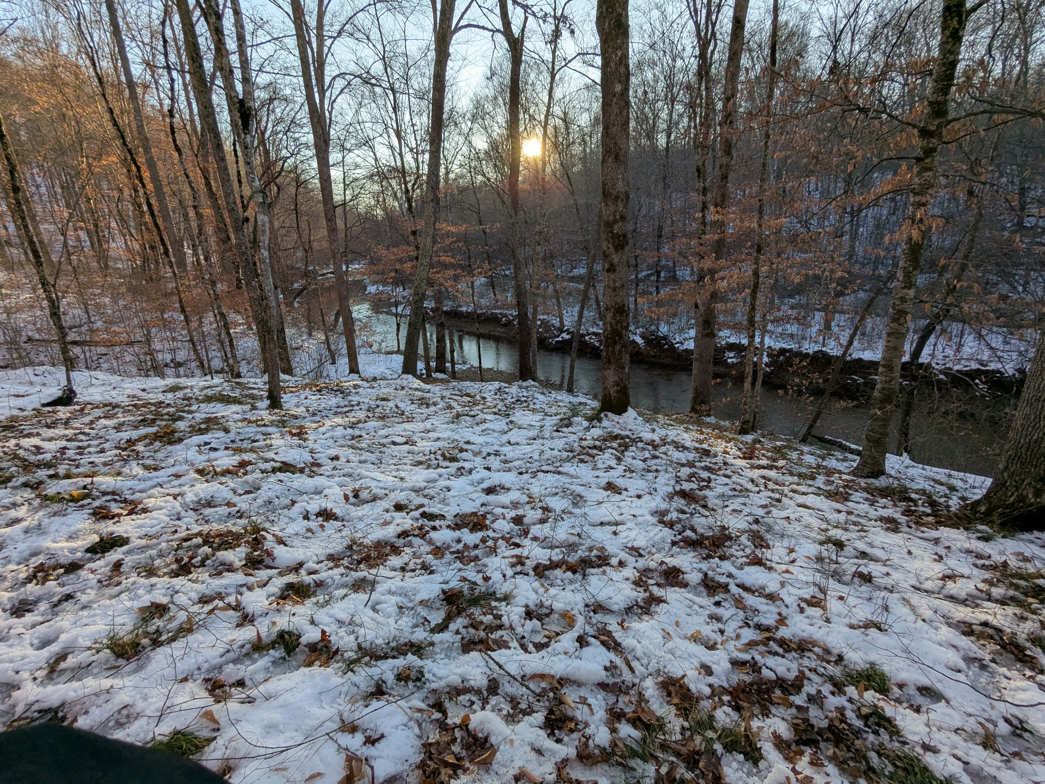 319 North Chisholm Creek Road Lawrenceburg, TN 38464 - Photo 32 of 64 a view of a backyard with trees