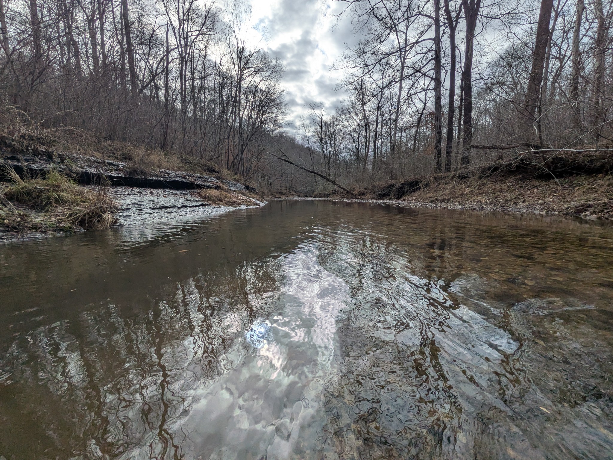 319 North Chisholm Creek Road Lawrenceburg, TN 38464 - Photo 33 of 64