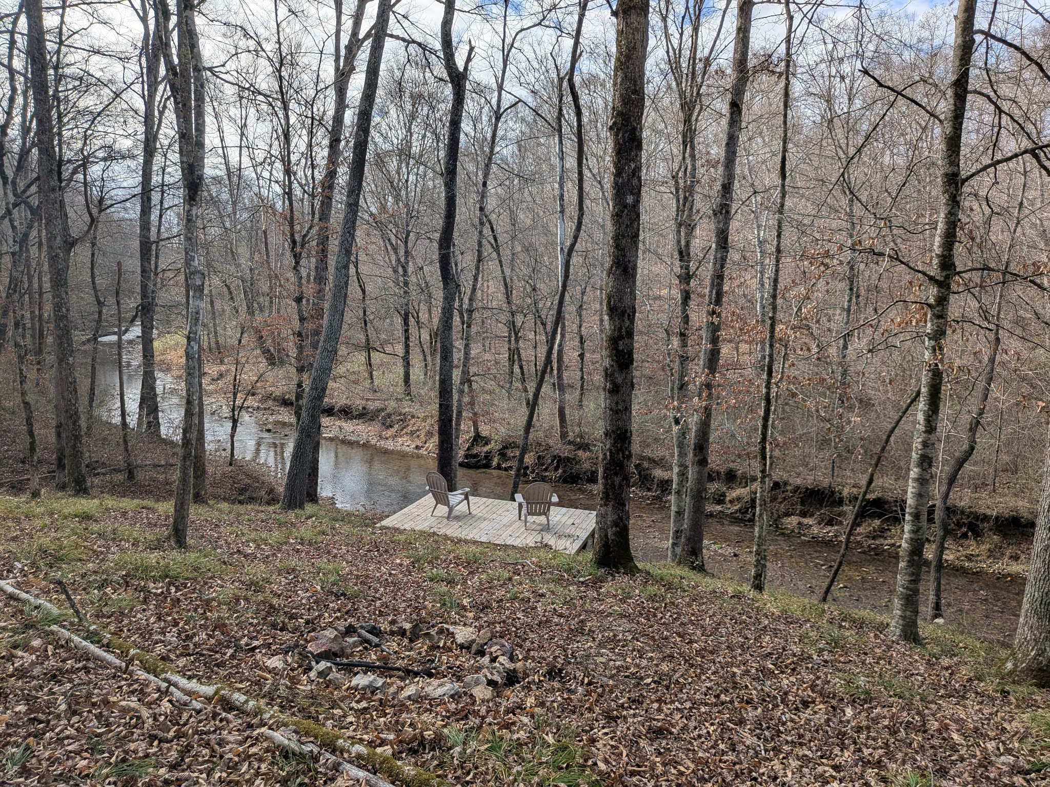319 North Chisholm Creek Road Lawrenceburg, TN 38464 - Photo 35 of 64 a view of outdoor space with lots of trees