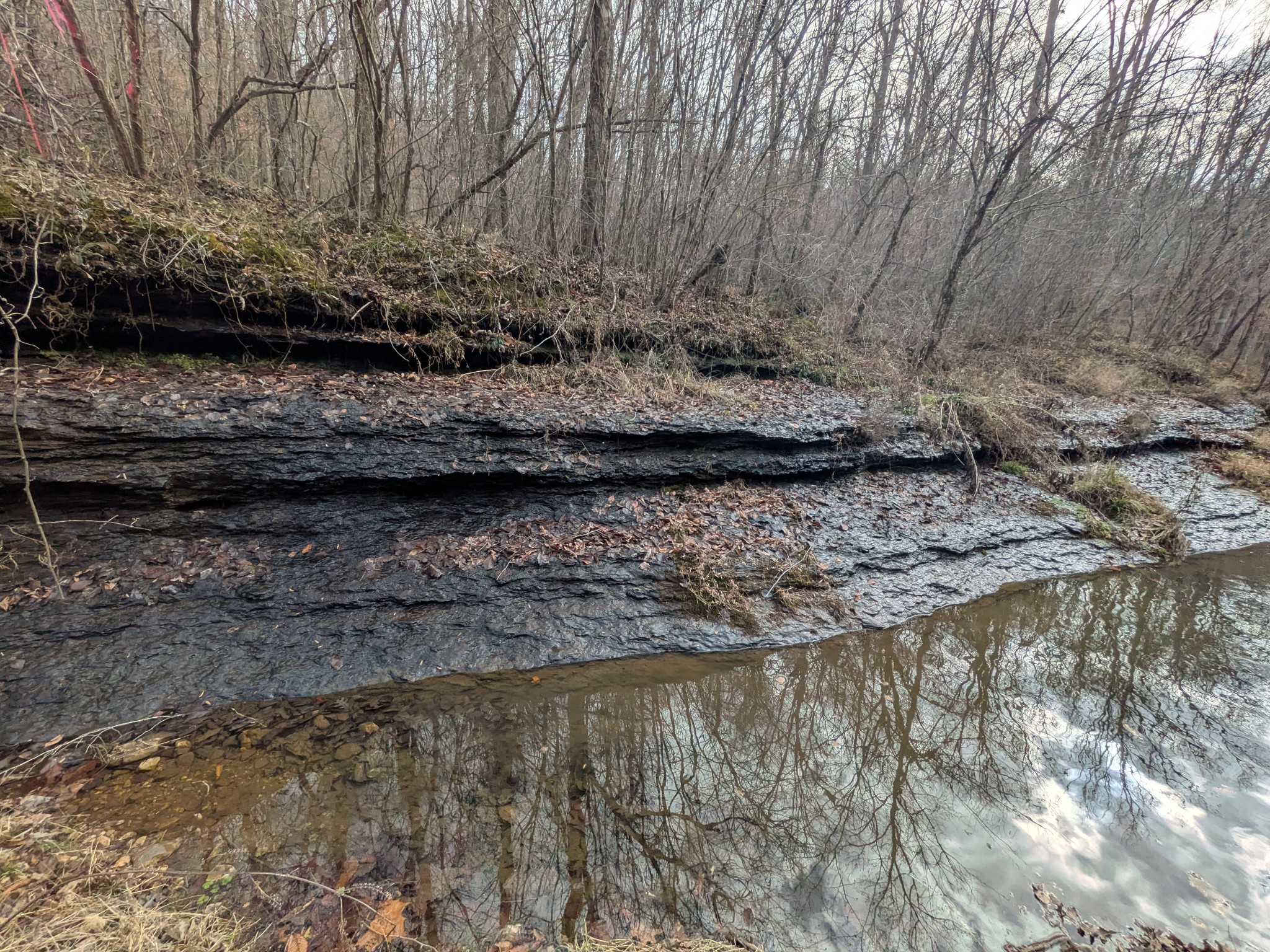 319 North Chisholm Creek Road Lawrenceburg, TN 38464 - Photo 37 of 64