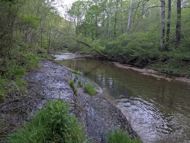 $225,000 | 319 North Chisholm Creek Road, Lawrenceburg, TN 38464