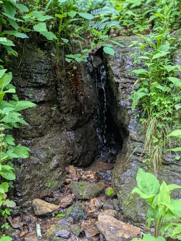 $225,000 | 319 North Chisholm Creek Road, Lawrenceburg, TN 38464