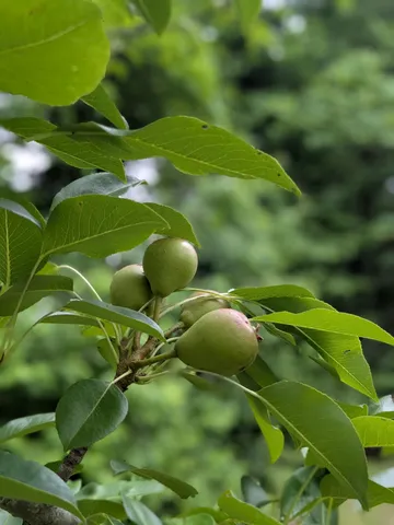 $225,000 | 319 North Chisholm Creek Road, Lawrenceburg, TN 38464