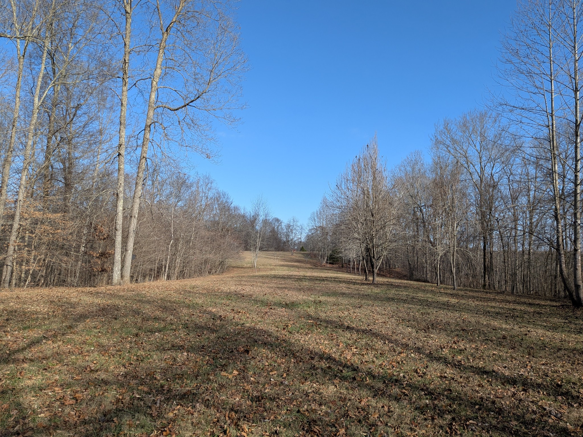 319 North Chisholm Creek Road Lawrenceburg, TN 38464 - Photo 43 of 64 a view of dirt field with trees in the background