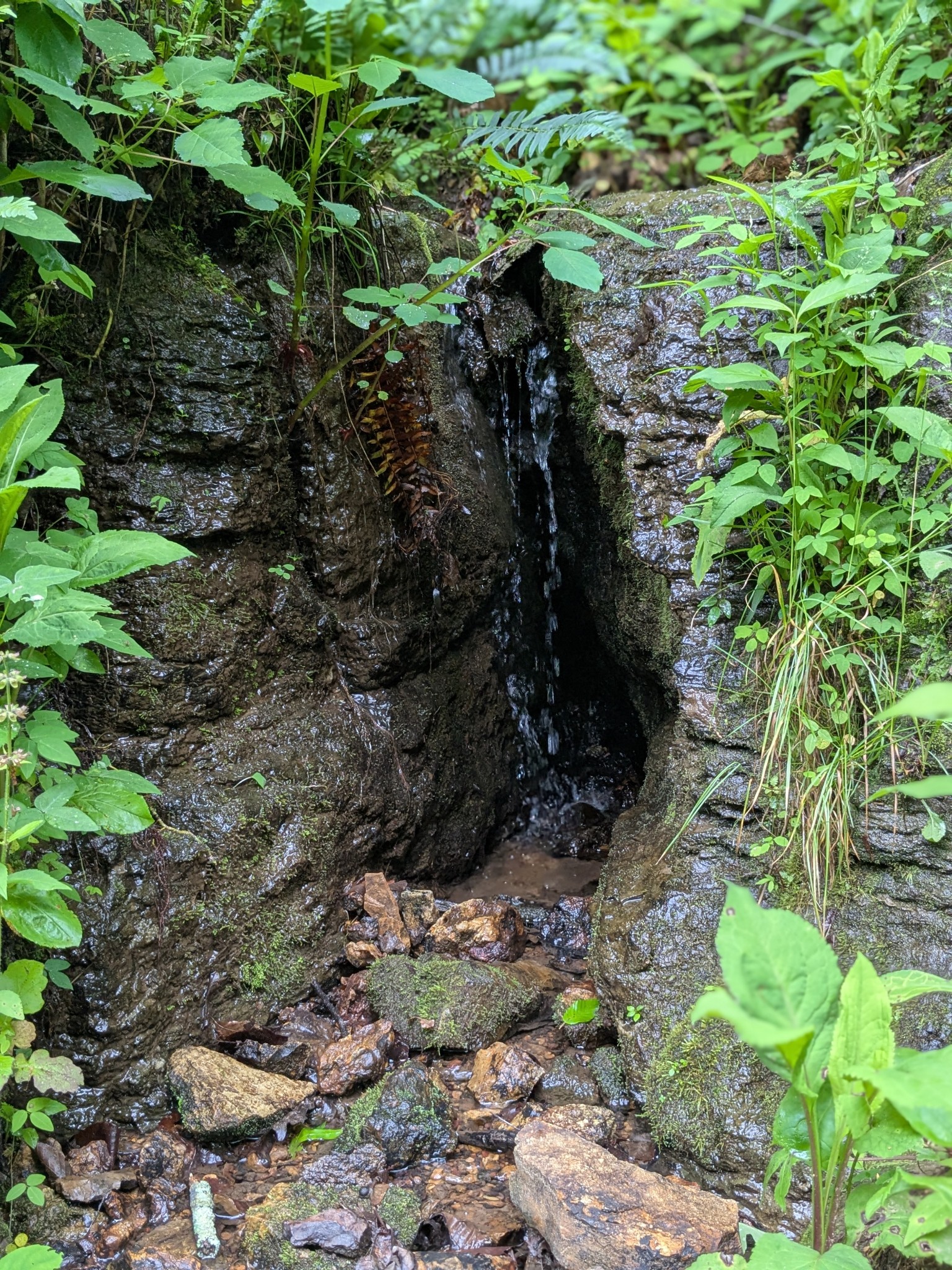 319 North Chisholm Creek Road Lawrenceburg, TN 38464 - Photo 46 of 64