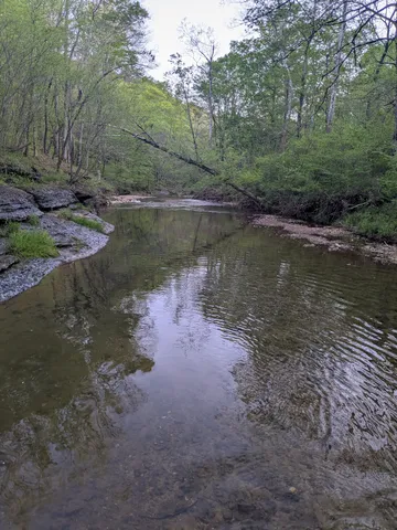 $225,000 | 319 North Chisholm Creek Road, Lawrenceburg, TN 38464