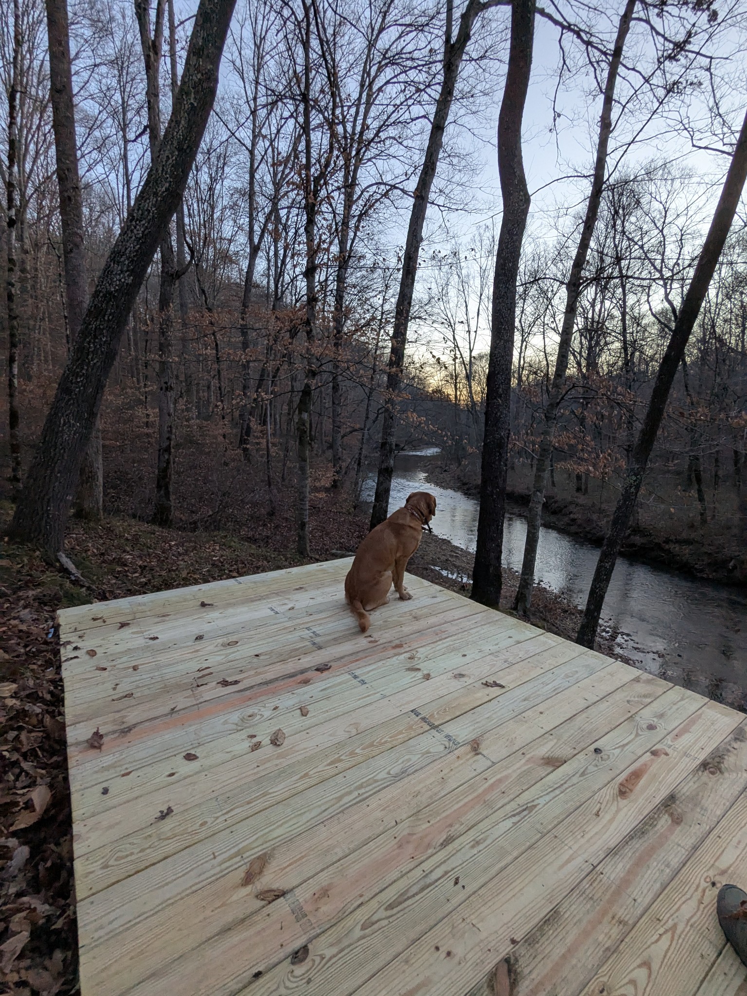 319 North Chisholm Creek Road Lawrenceburg, TN 38464 - Photo 57 of 64 a view of a backyard of the house