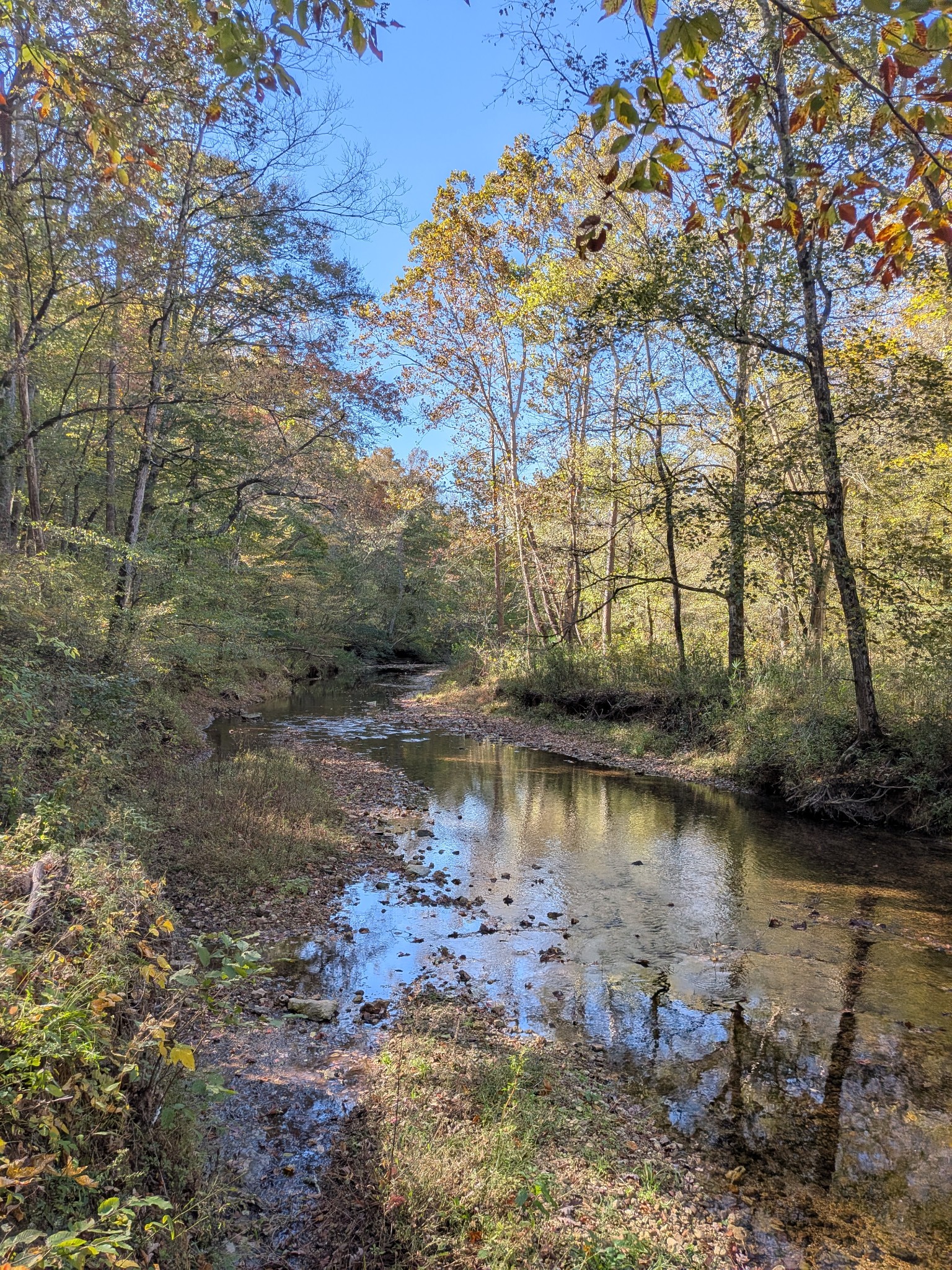 319 North Chisholm Creek Road Lawrenceburg, TN 38464 - Photo 62 of 64 a view of lake