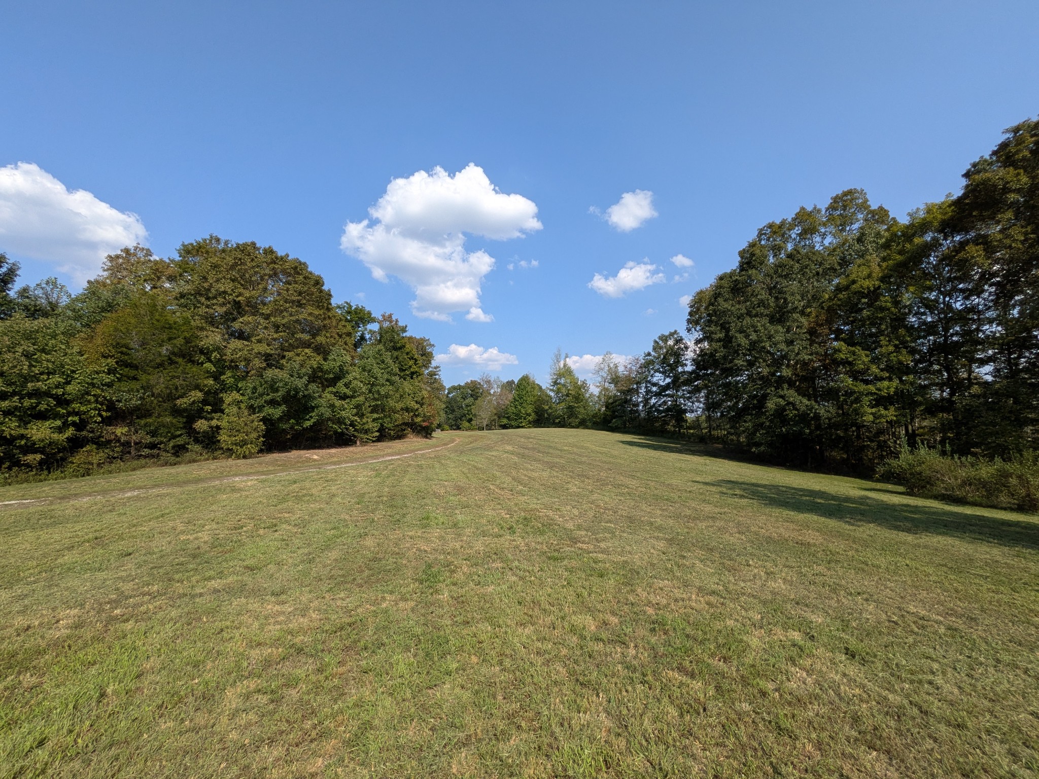 319 North Chisholm Creek Road Lawrenceburg, TN 38464 - Photo 63 of 64 a view of a big yard with an outdoor space and seating