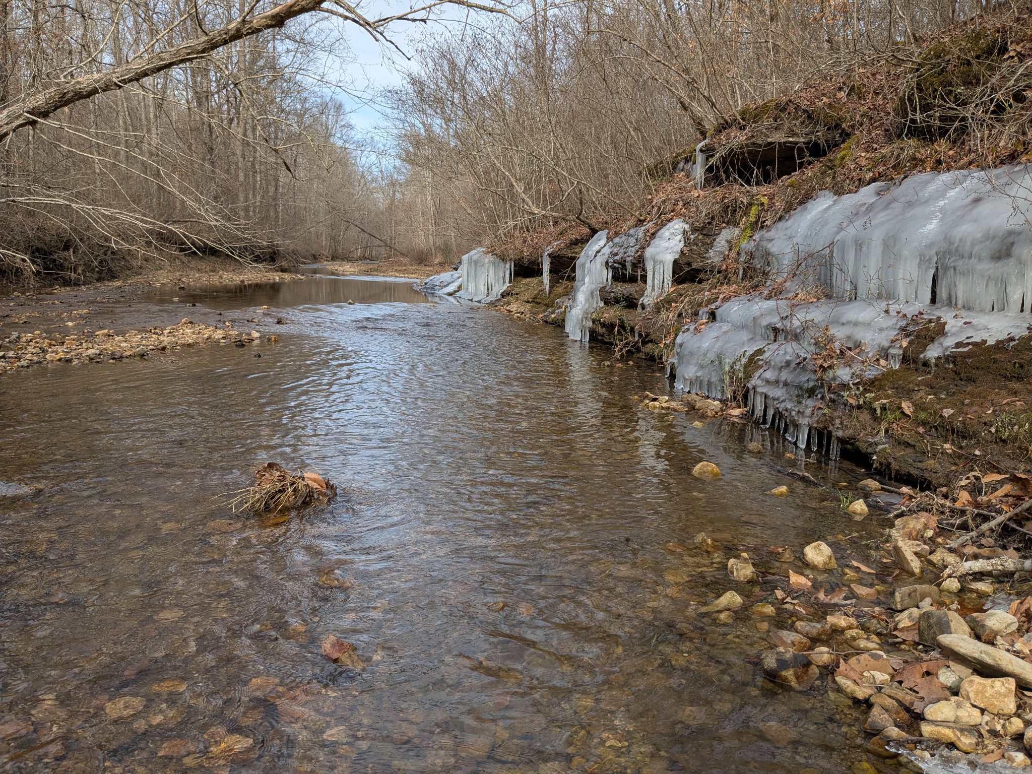 319 North Chisholm Creek Road Lawrenceburg, TN 38464 - Photo 64 of 64