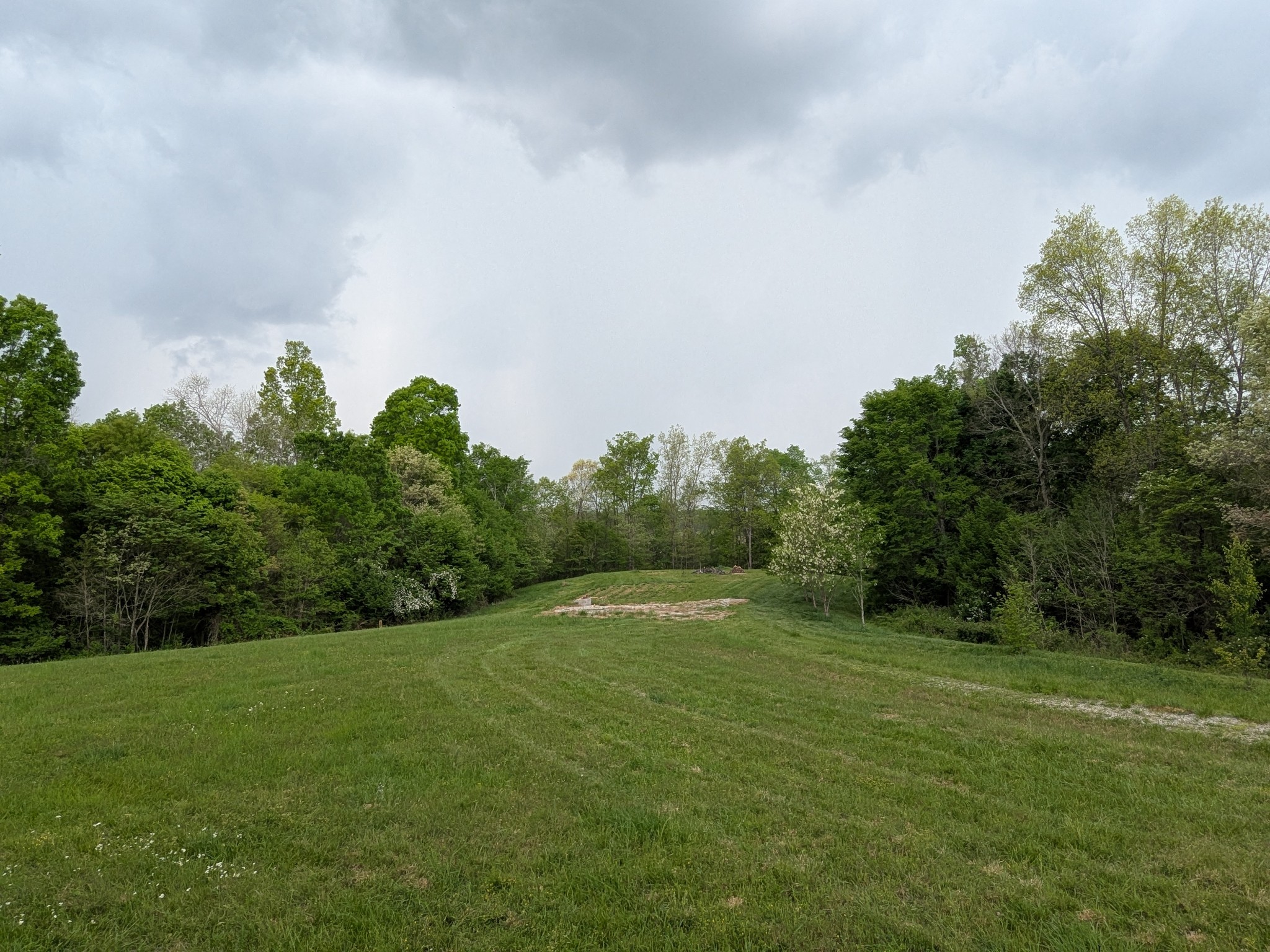 319 North Chisholm Creek Road Lawrenceburg, TN 38464 - Photo 7 of 64