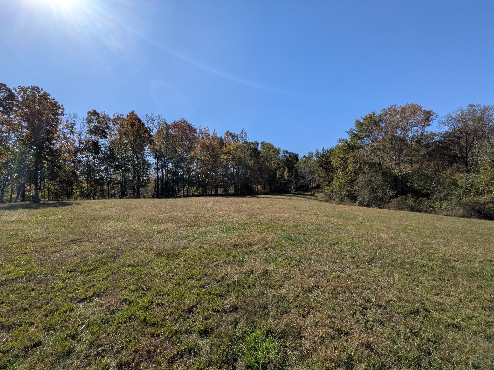 319 North Chisholm Creek Road Lawrenceburg, TN 38464 - Photo 9 of 64 a view of outdoor space and yard