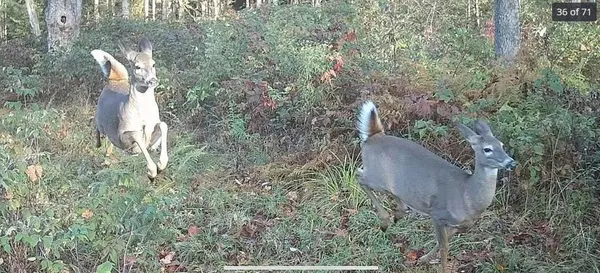 $639,888 | 161 Ridge Road, Otselic, NY 13155