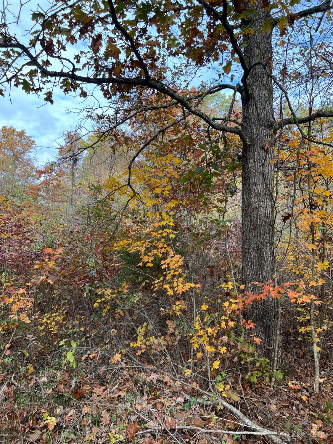 0 Harriet Road Hillsboro, OH 45133 - Photo 42 of 96