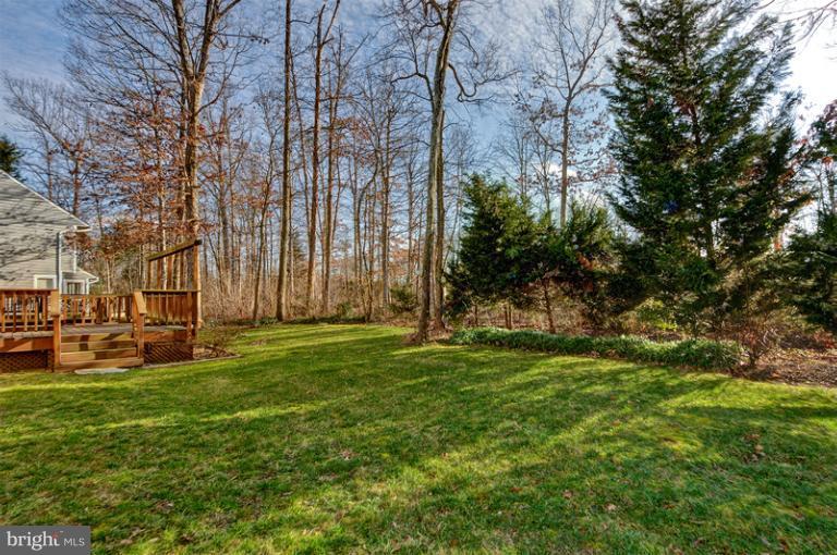 9 Rutledge Court Sterling, VA 20165 - Photo 4 of 30 Exterior (Rear)