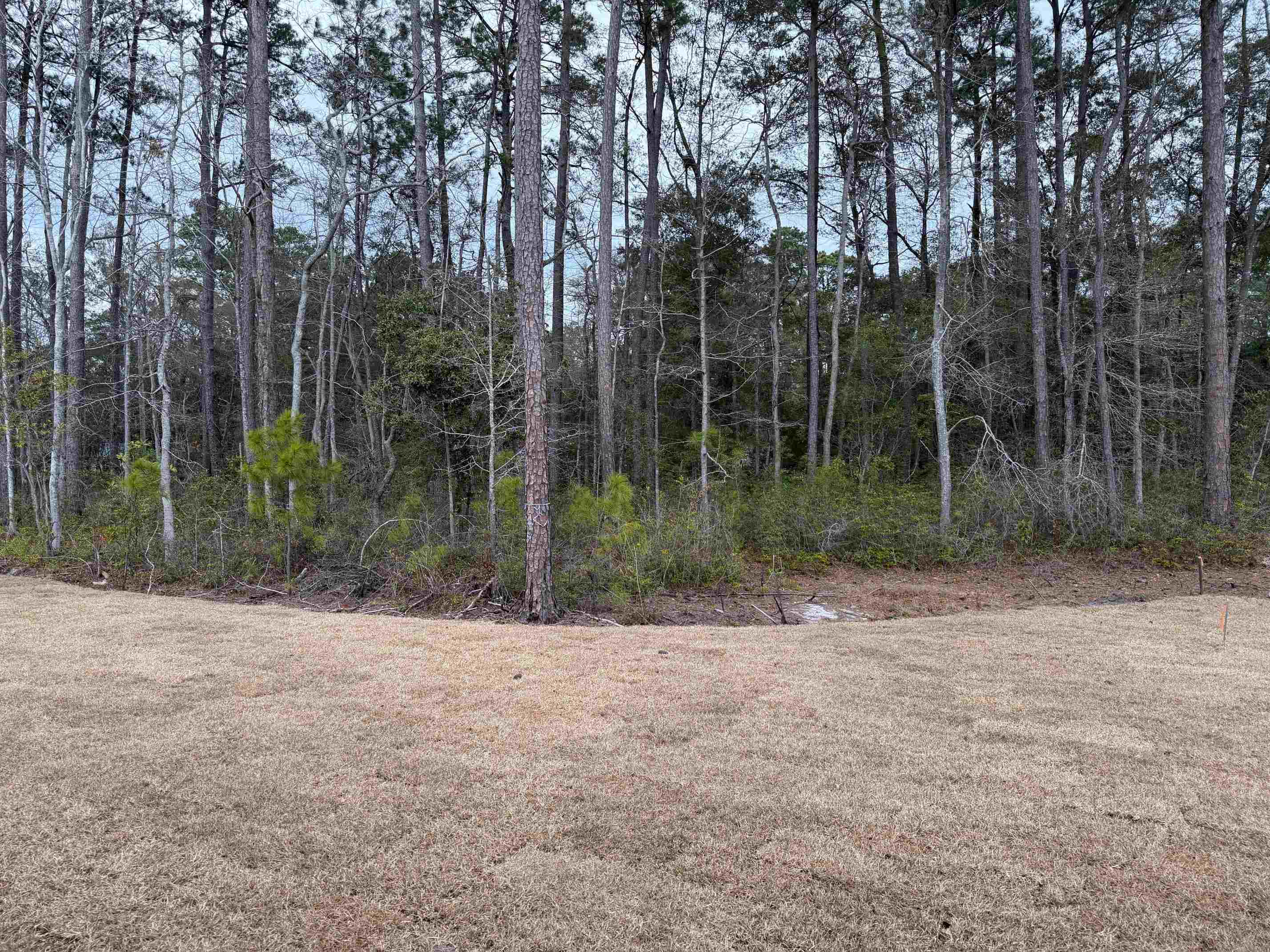 78 Anna Marie Way Murrells Inlet, SC 29576 - Photo 17 of 30