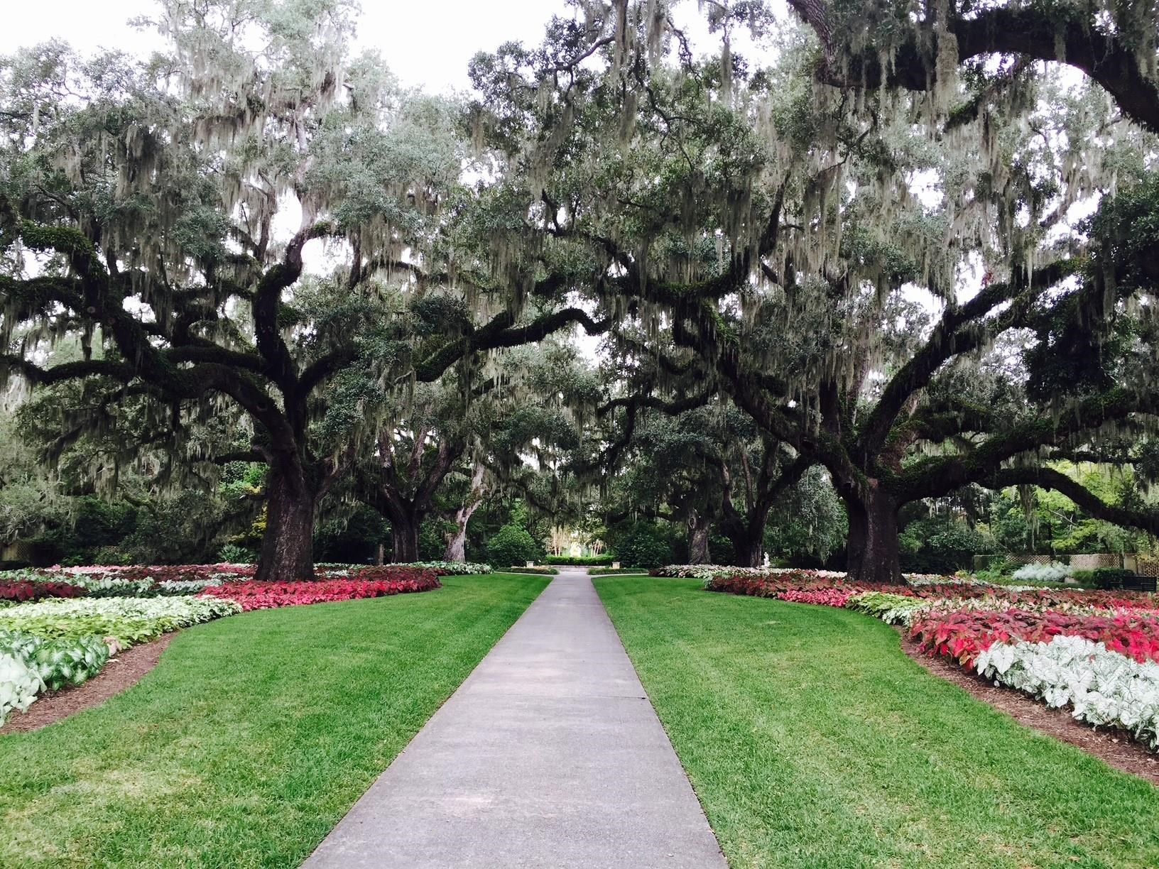 78 Anna Marie Way Murrells Inlet, SC 29576 - Photo 8 of 30