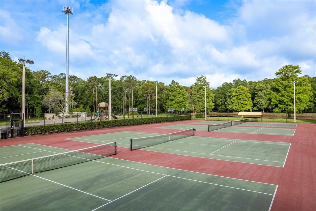 3857 Timber Ridge Court Palm Harbor, FL 34685 - Photo 47 of 56