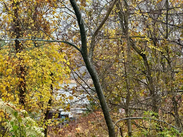 $649,000 | 1542 Congress Street, Portland, ME 04102