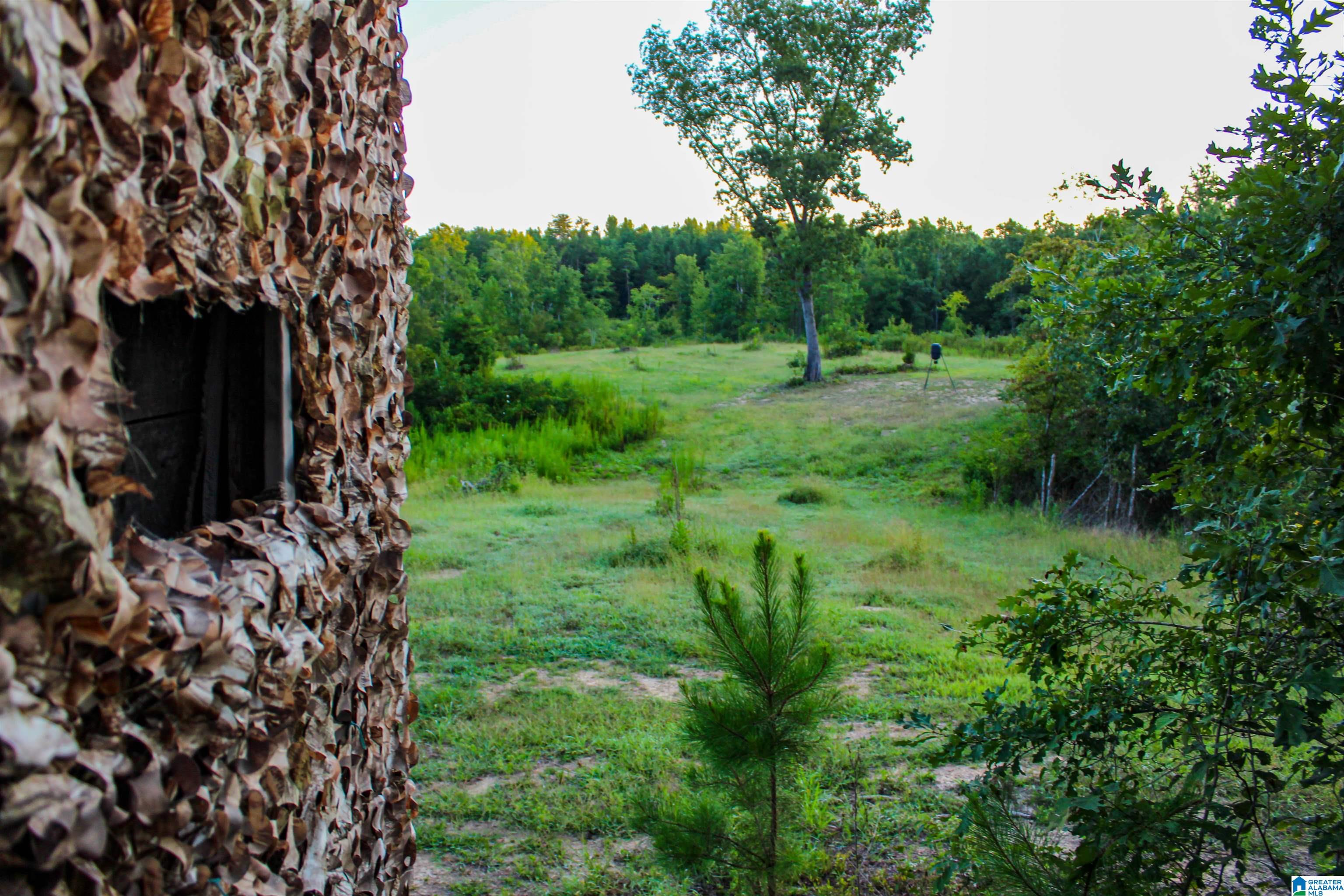Bonner Drive, Unit 1 Berry, AL 35546 - Photo 5 of 56