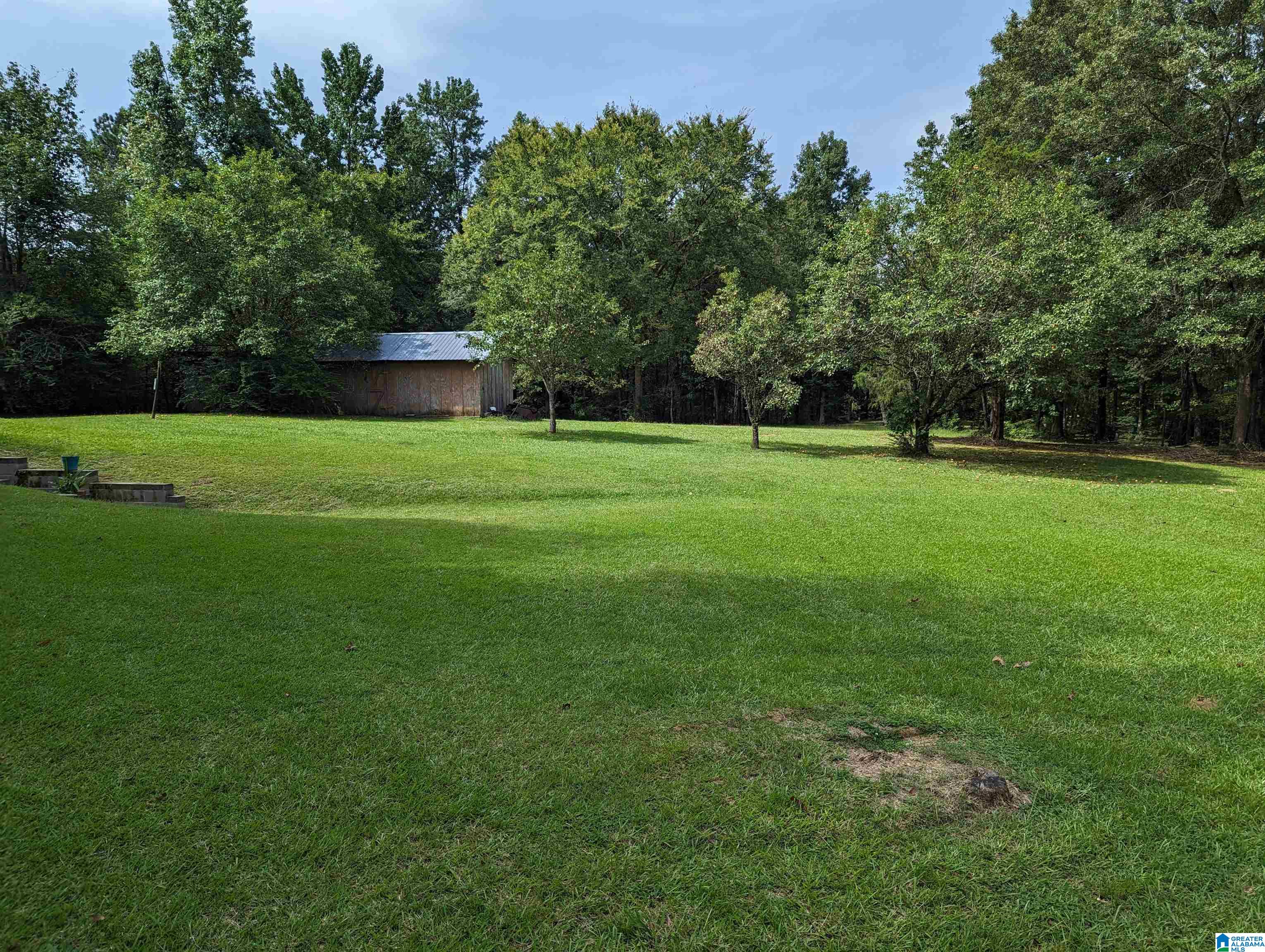 9126 Lock 17 Road Adger, AL 35006 - Photo 37 of 43