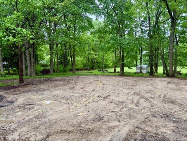 6978 Stewart Sharon Road Hubbard, OH 44425 - Photo 11 of 11 Back Yard.