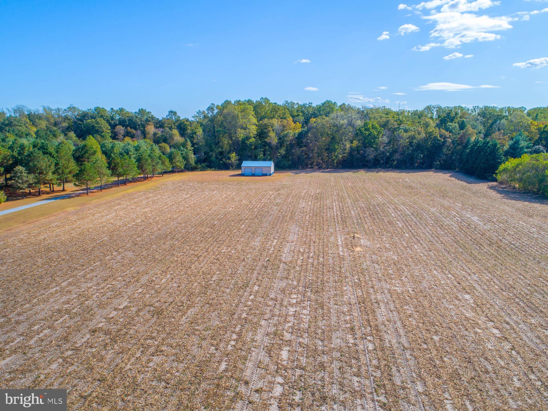 0 Adams Landing Road Denton, MD 21629 - Photo 23 of 25 Gallery Image 23