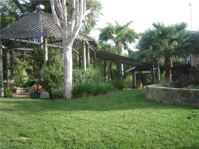 1320 Saxony Road Encinitas, CA 92024 - Photo 18 of 25 Another back yard picture.