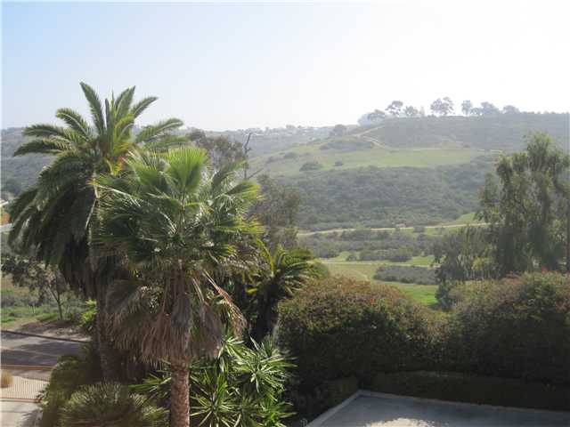 1320 Saxony Road Encinitas, CA 92024 - Photo 24 of 25 View to Indian Head Park and Encinitas golf course.