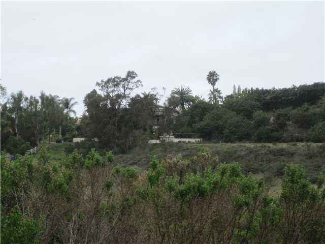 1320 Saxony Road Encinitas, CA 92024 - Photo 25 of 25 View to 1320 Saxony Rd from one of the lower walking trails in Indian Head park.