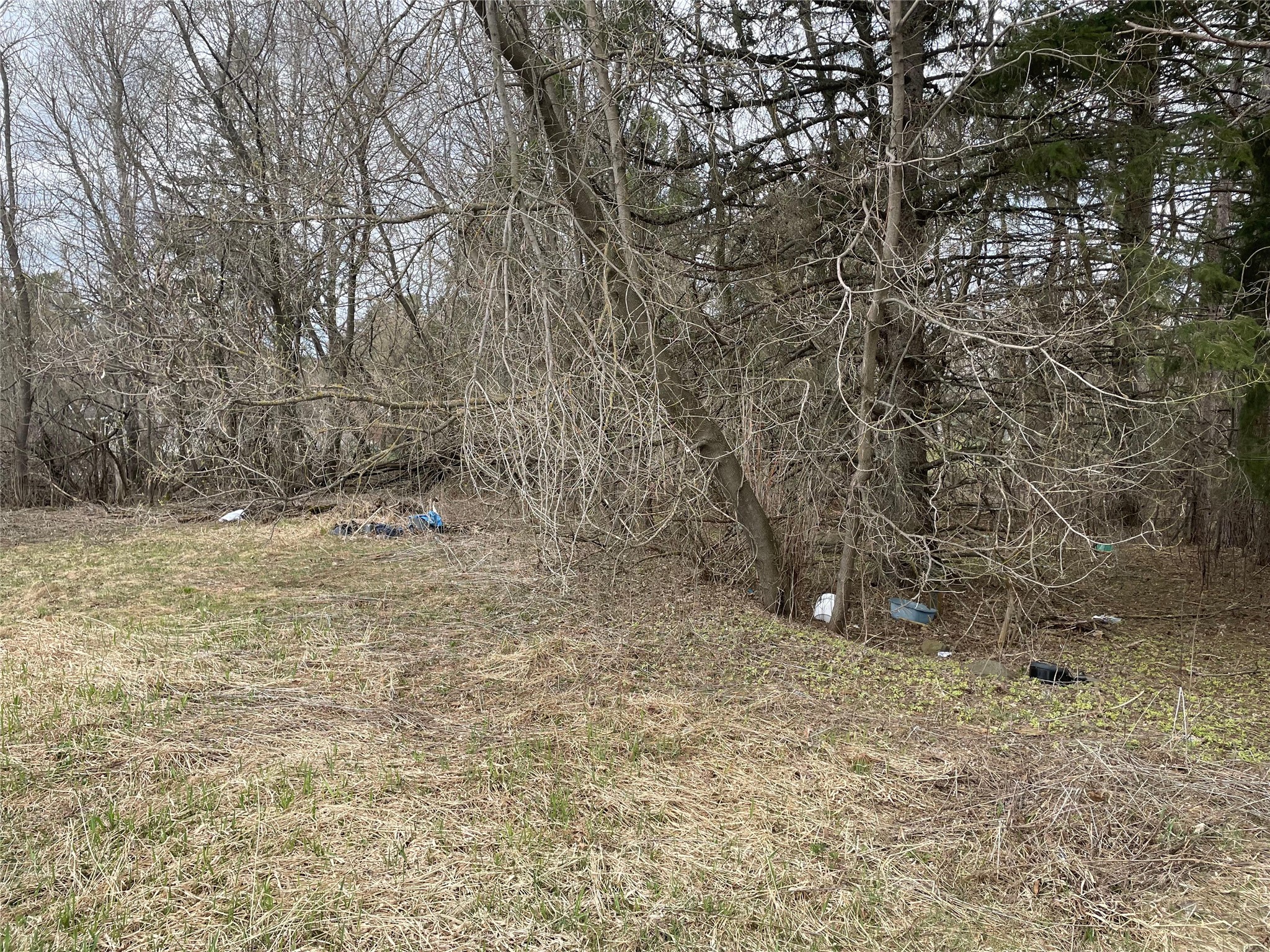 2-lots Off Thurston Road Glidden, WI 54527 - Photo 2 of 2