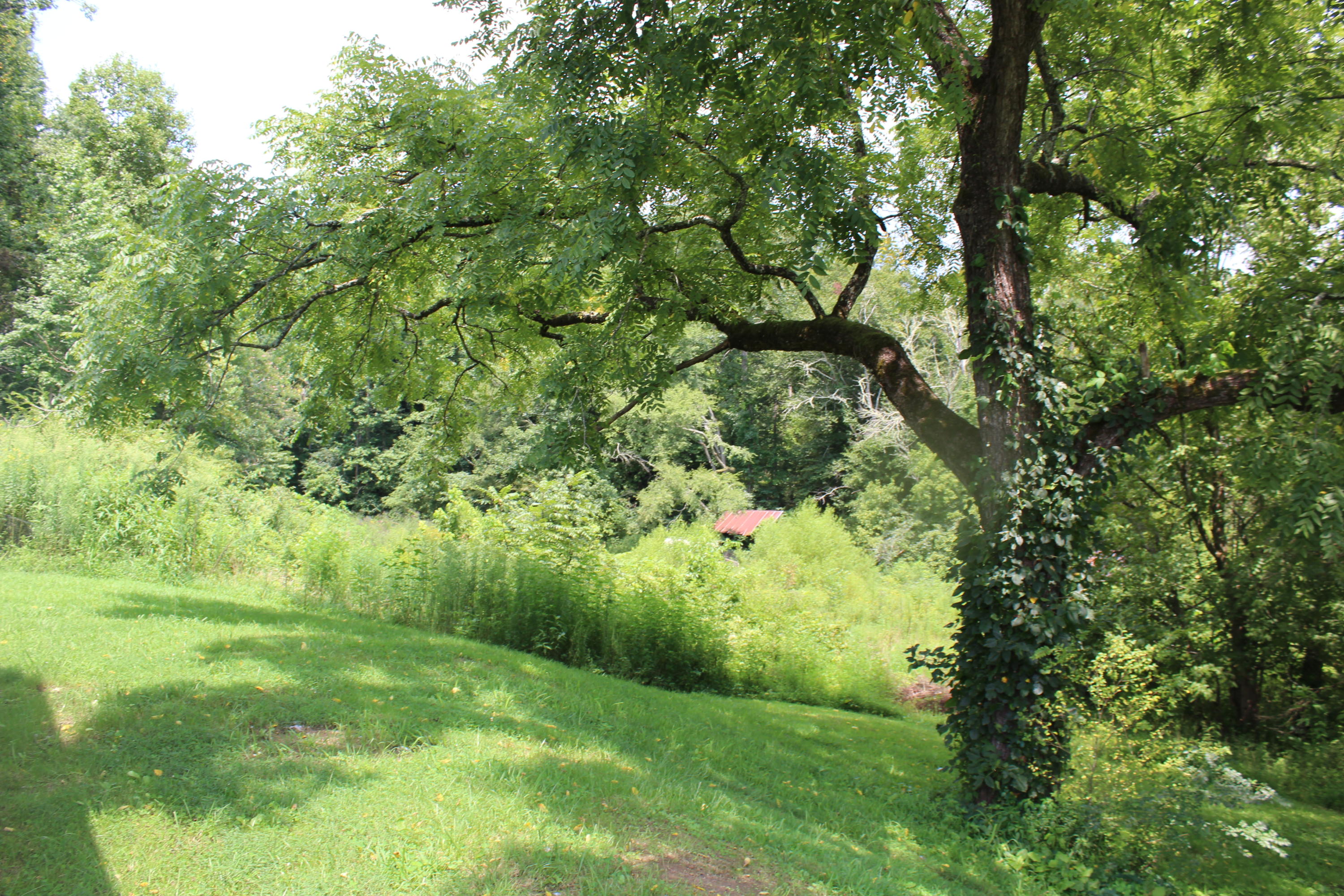 120 Batley Road Clinton, TN 37716 - Photo 11 of 11 IMG_1381