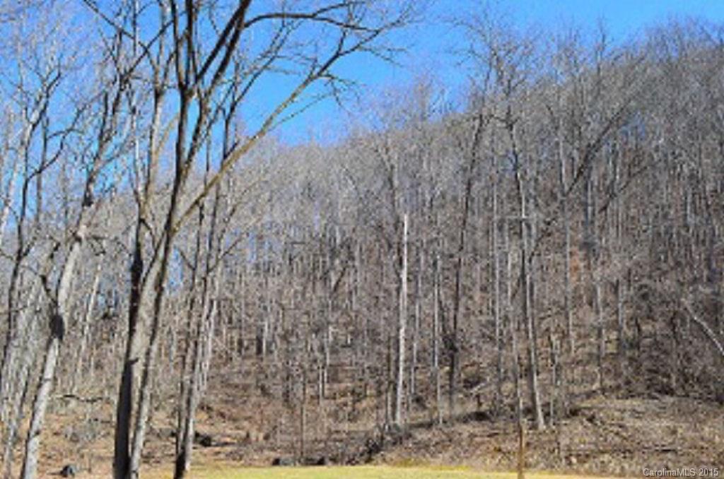 0 Sugar Creek Road Cullowhee, NC 28723 - Photo 11 of 18 Gallery Image 11