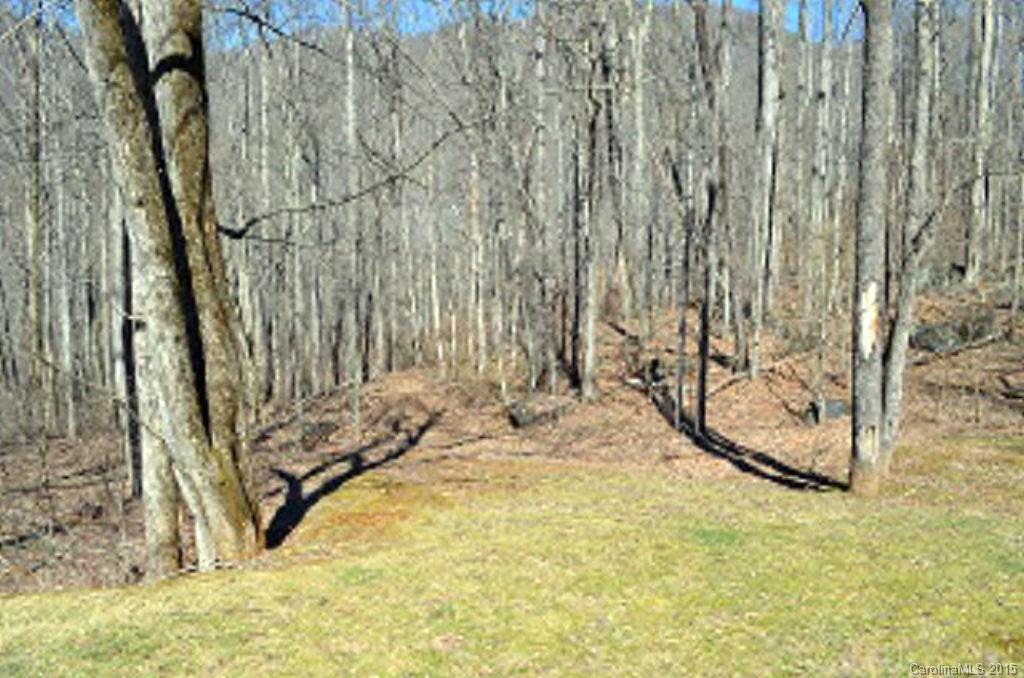 0 Sugar Creek Road Cullowhee, NC 28723 - Photo 12 of 18 Gallery Image 12