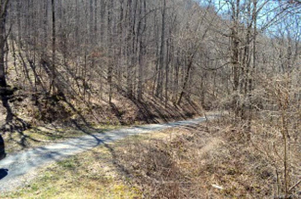 0 Sugar Creek Road Cullowhee, NC 28723 - Photo 17 of 18 Gallery Image 17