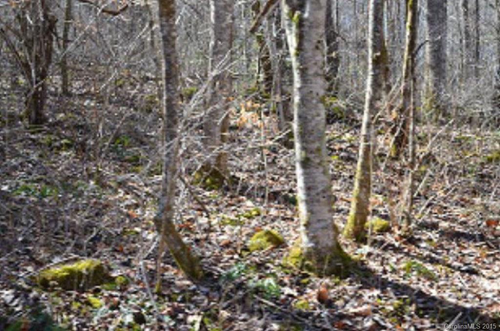 0 Sugar Creek Road Cullowhee, NC 28723 - Photo 3 of 18 Gallery Image 3