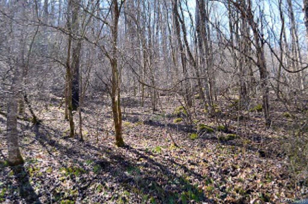 0 Sugar Creek Road Cullowhee, NC 28723 - Photo 4 of 18 Gallery Image 4