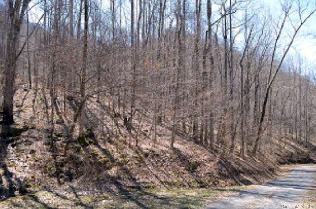 0 Sugar Creek Road Cullowhee, NC 28723 - Photo 9 of 18 Gallery Image 9