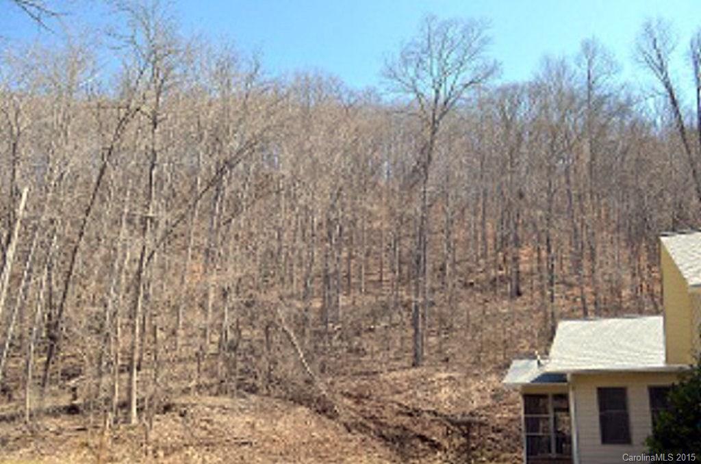 0 Sugar Creek Road Cullowhee, NC 28723 - Photo 10 of 18 Gallery Image 10