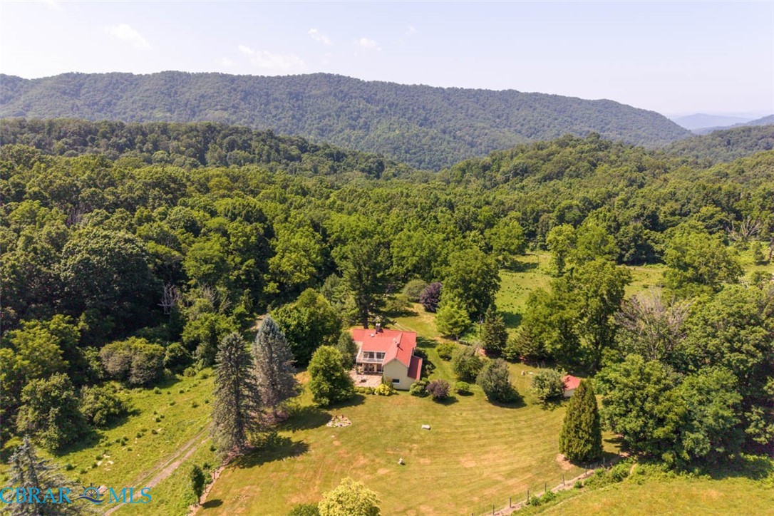 531 Lowland Farm Road Hot Springs, VA 24445 - Photo 7 of 50