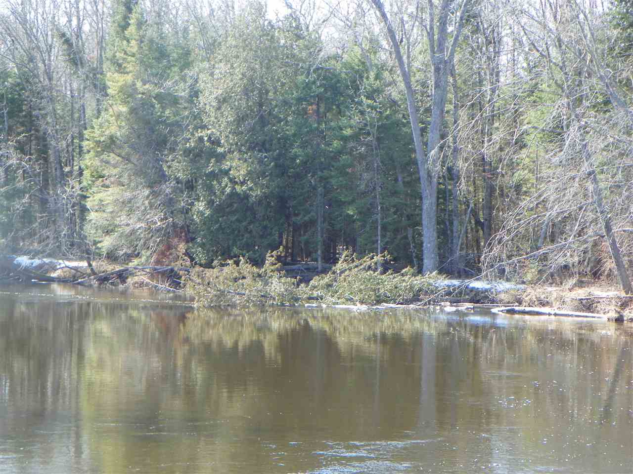 Tbd Tbd Pine Marion, MI 49665 - Photo 14 of 18