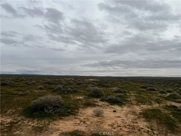 a view of a large body of water with lots of trees in all around