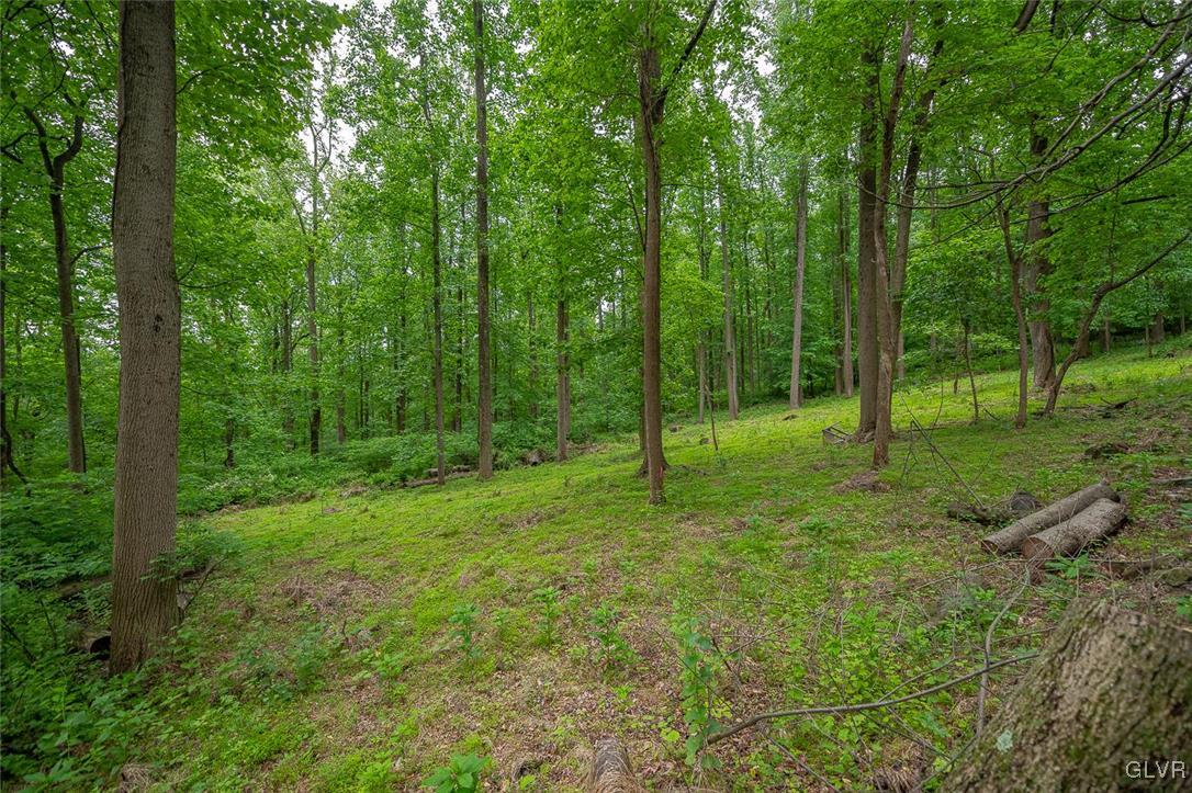 125 Hexenkopf Road Easton, PA 18042 - Photo 5 of 8 Gallery Image 5
