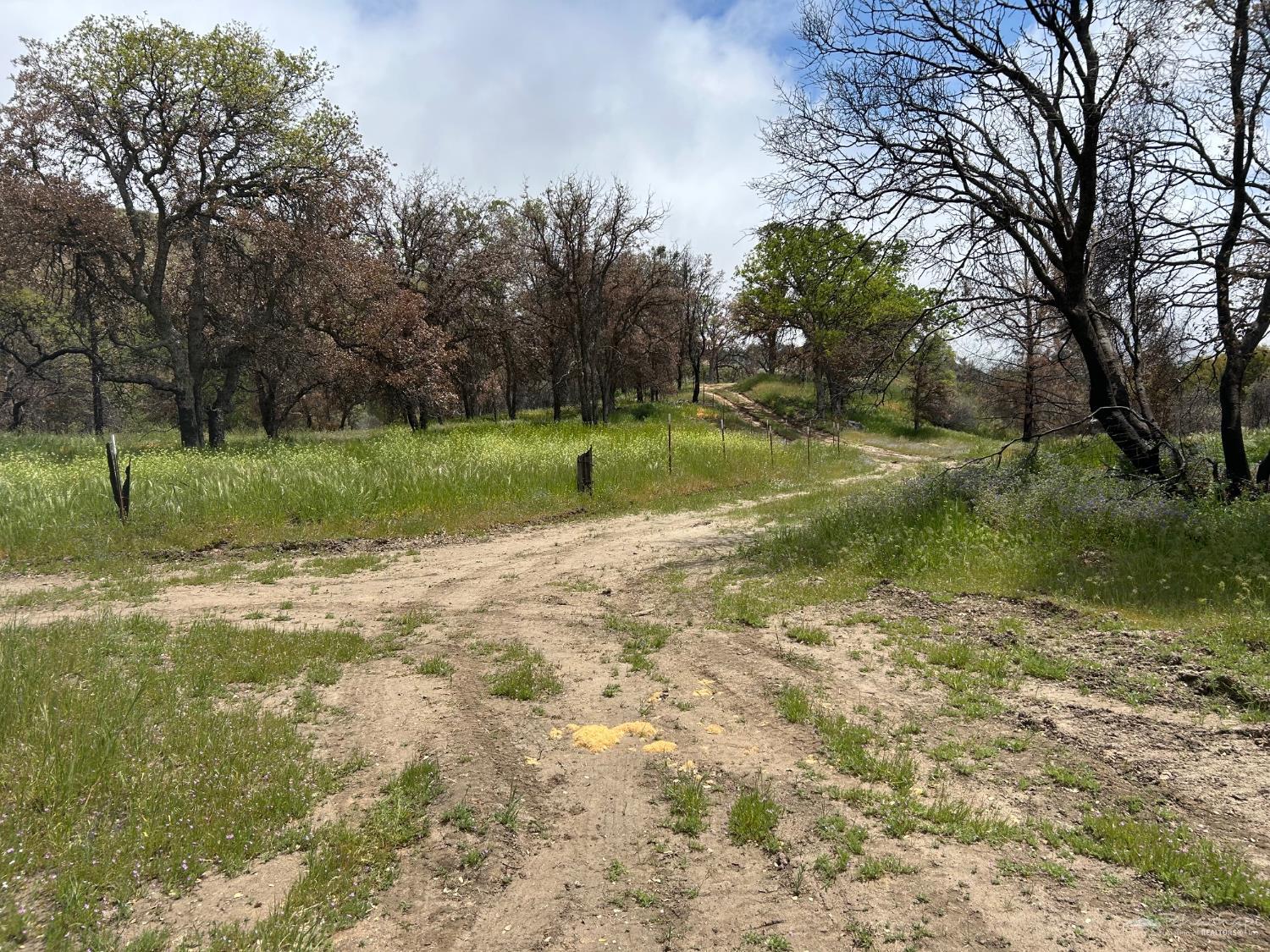 0 Foxtail Canyon Road Caliente, CA 93518 - Photo 17 of 21 Gallery Image 17