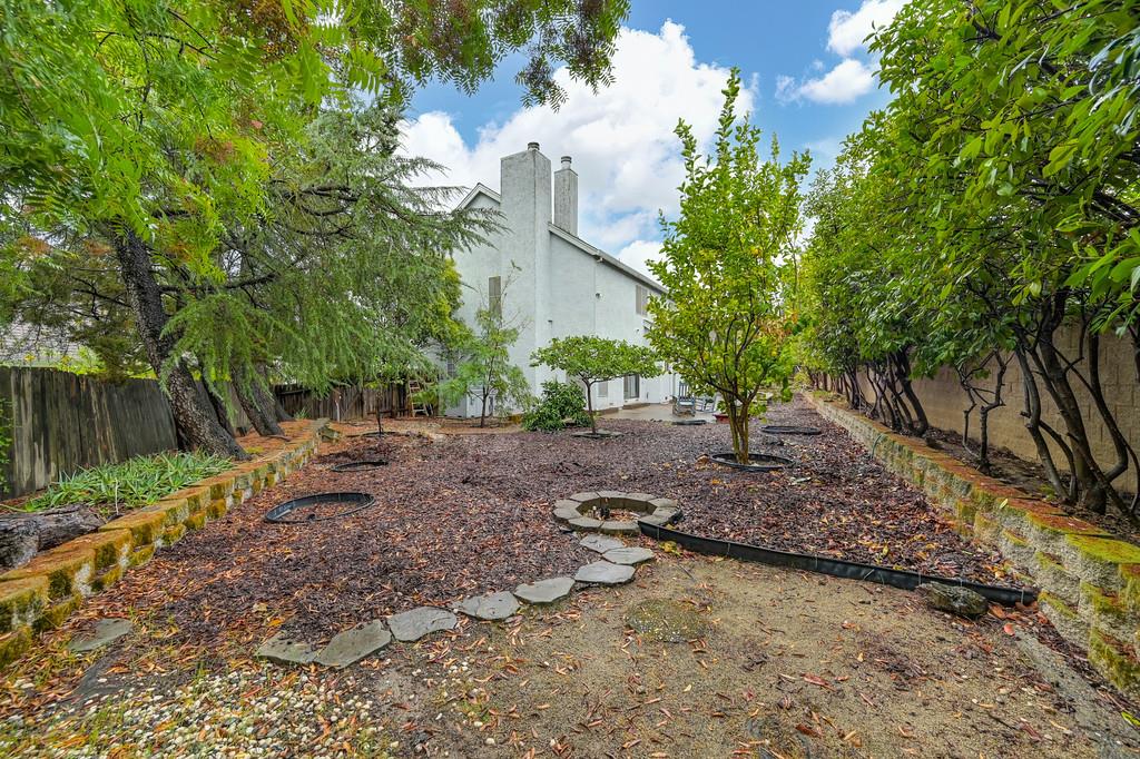 8477 Rick Mary Court Fair Oaks, CA 95628 - Photo 41 of 48 a view of a yard with plants and trees